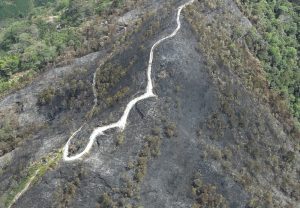 En el Huila 96 incendios forestales en 24 municipios dejan 1.141 hectáreas de terreno afectadas.