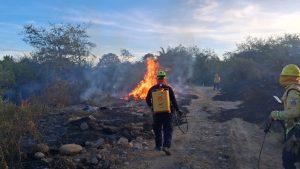 Incendios forestales de gran magnitud tienen en alerta a los neivanos. Autoridades piden denunciar quemas